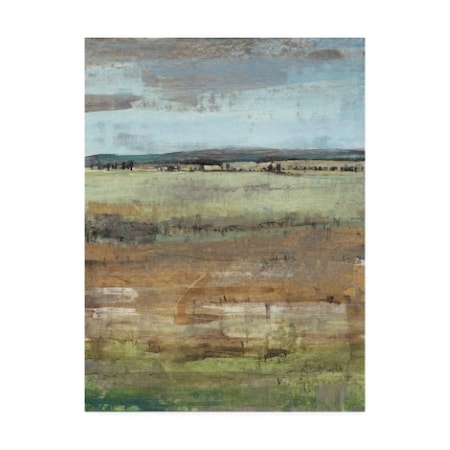 Tim Otoole 'Field Layers Iv' Canvas Art,18x24